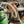 Load image into Gallery viewer, 16 oz Pint Cup - In Use