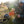Load image into Gallery viewer, DrinkTanks Session 32oz Growler